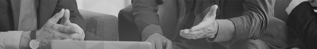 Equipo de consultores